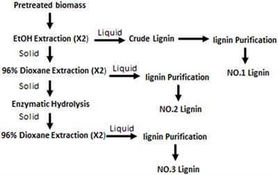 Characteristics of Lignin Fractions from Dilute Acid Pretreated Switchgrass and Their Effect on Cellobiohydrolase from Trichoderma longibrachiatum